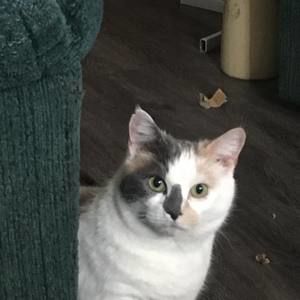 Meet your Posher, Tammy